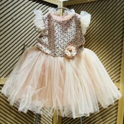 Merkloos Luxe Feestjurk-effen Jurk-tule Jurk-meisjes Jurk-galajurk-bruidsjurk-prinsessen Jurk-danseres Jurk-bruidsmeisjes-bruiloft-verjaardag-fotoshoot-doopsel-vormsel-lente Feest-ballet- Lichte Zalmkleur-bloem-pailletten-katoen Polyester-2 Jaar (maat 92) -Trendyo Trendy Winkel 1200x1198