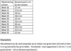 Merkloos Prinsessen Schoenen Regenboog Roze Glitter Maat 27 - Binnenmaat 17,5 Cm - Bij Jurk Verkleedkleding -Trendyo Trendy Winkel 1200x858