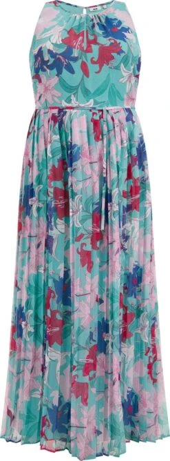 WE Fashion Dames Maxi-jurk Met Dessin - Curve