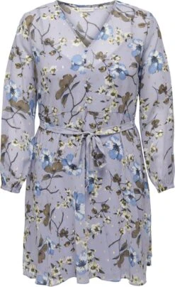 ONLY CARMAKOMA ONLY Jurk CARFIRANA -Trendyo Trendy Winkel 734x1200 18