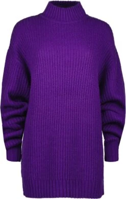 Raizzed X Moïse Mini Dress-SOPHIE Dames Jurk - Maat L -Trendyo Trendy Winkel 764x1200 2