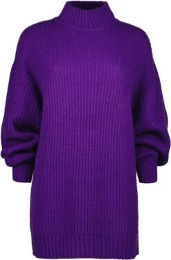 Raizzed X Moïse Mini Dress-SOPHIE Dames Jurk - Maat L